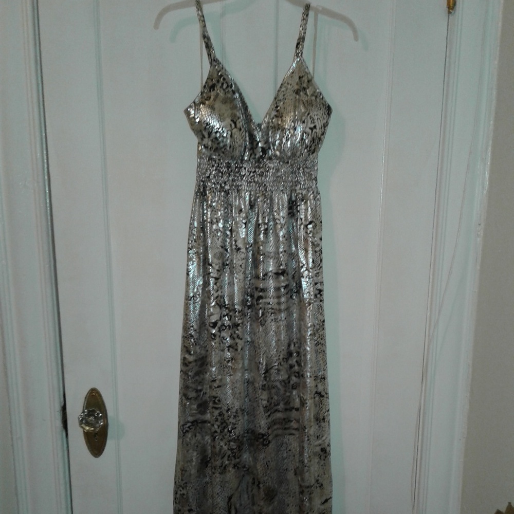 Gorgeous Silver and brown Maxi Dress